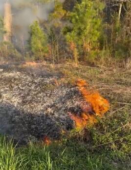 A grass fire caused heavy smoke near Roseboro Elementary School on Butler Island Road on Sunday.
                                 Courtesy photo | Roseboro Fire Department