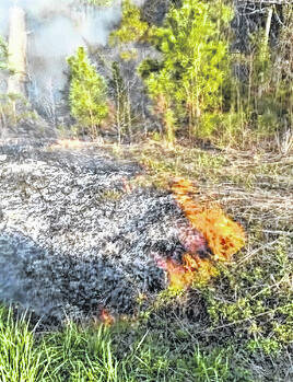 Roseboro Fire Department and the N.C. Forest Service responded to a grass fire on Butler Island Road near Roseboro Elementary School last weekend. Though the fire was quickly contained, it illustrates how a small fire can quickly spread and threaten homes and lives.
Courtesy photos | Roseboro Fire Department