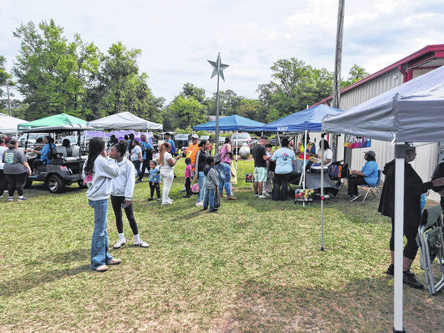 People came to the Ivanhoe Fire Departmen Saturday to participate in the annual Community Day and spend time with friends and families