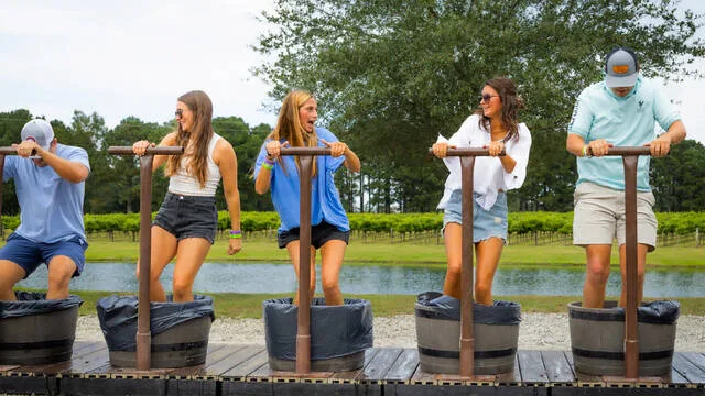 Participants compete in Duplin Winerys signature grape-stomping competition during the annual Grape Stomp in Rose Hill, N.C. The harvest celebration features grape picking, wine tastings, live music, and family-friendly activities in the vineyard.
