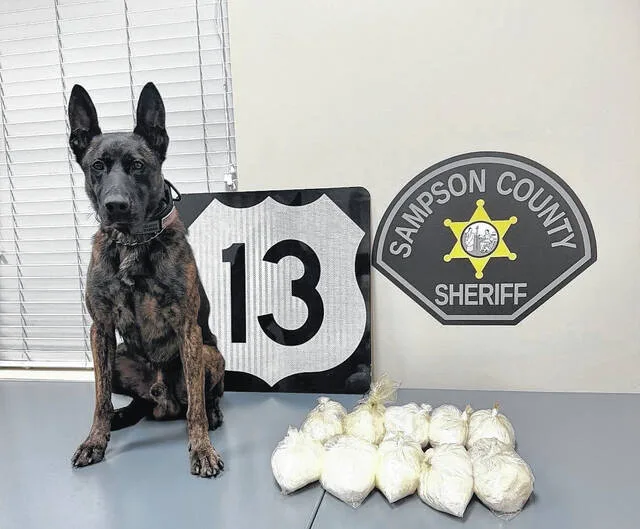 Sampson County Sheriffs K-9 Officer Pitt stands watch over the over 4 kilos of methamphetamine confiscated during an Aug. 15 traffic stop along Hwy. 13 near Sunny Lane.