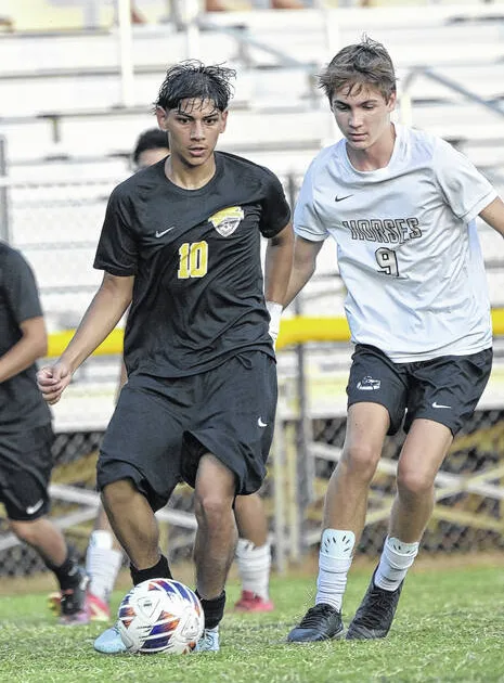 Zelaya goal lifts Dark Horses over Hobbton